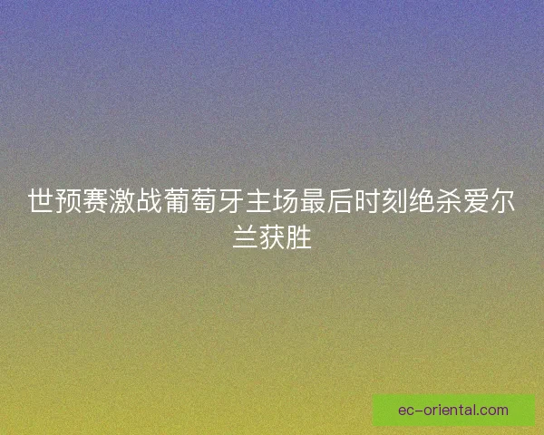 世预赛激战葡萄牙主场最后时刻绝杀爱尔兰获胜